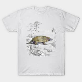 Armadillo (Victorian Painting) T-Shirt